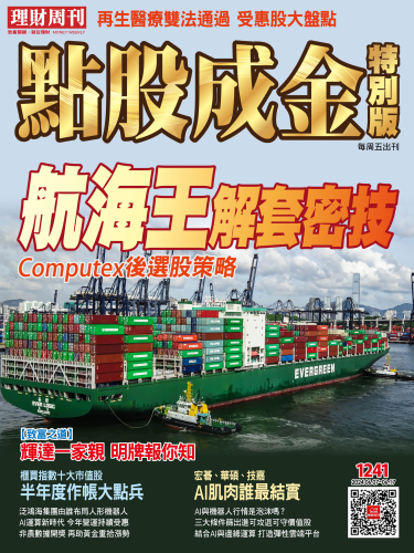 第1241期 點股成金